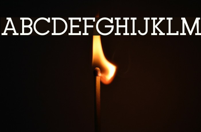 Typo GeoSlab Regular Demo Font examples