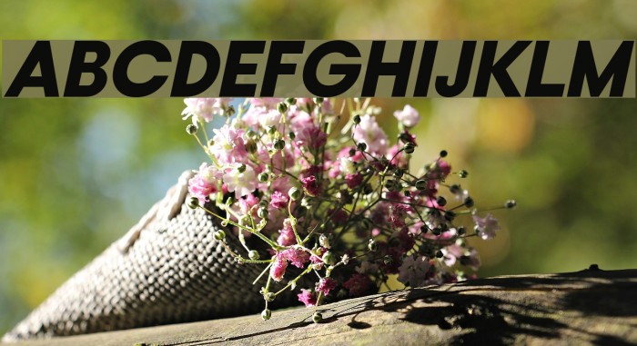 Typo Gotika Black Demo Italic Font examples
