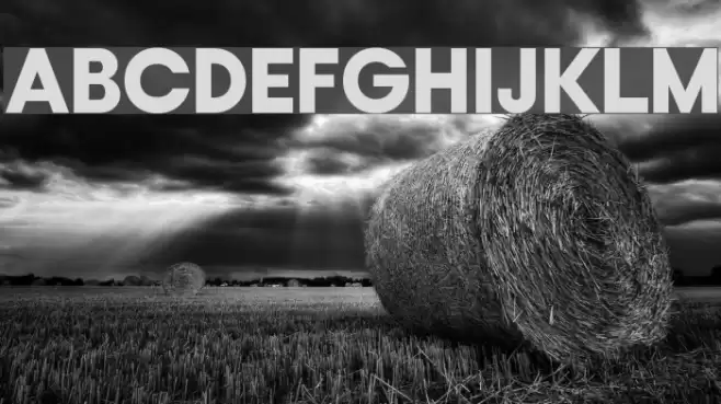 Typo Gotika Black Demo Font examples