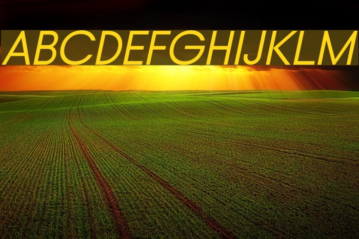 Typo Gotika Demo Italic Font examples