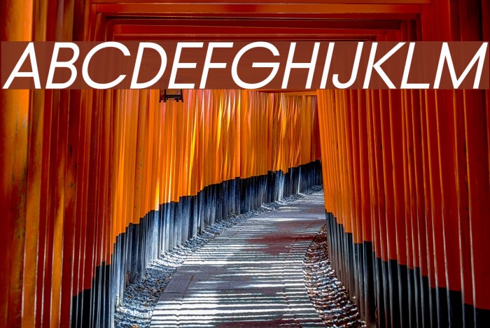 Typo Gotika Demo Italic Font examples