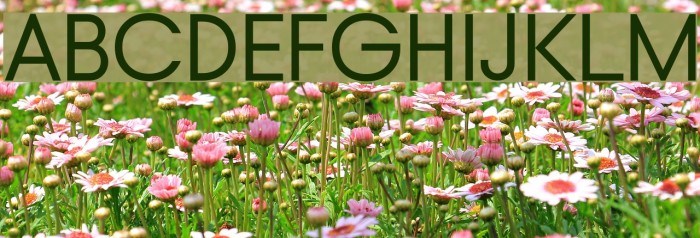 Typo Gotika Demo Font examples