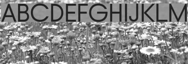 Typo Gotika Demo Font examples