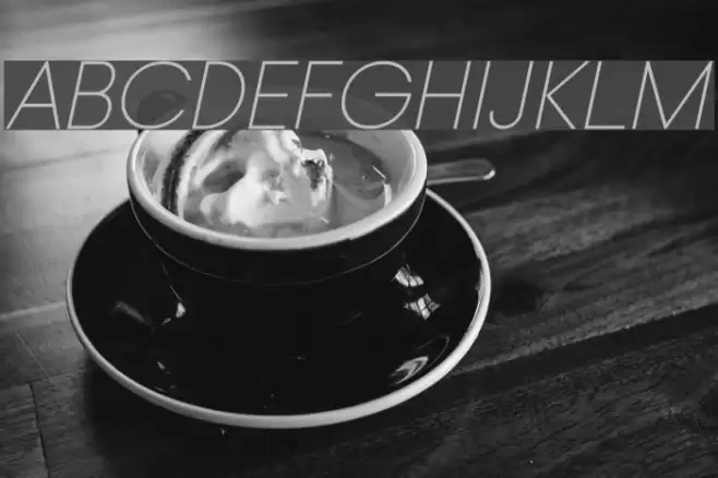 Typo Gotika Light Demo Italic Font examples