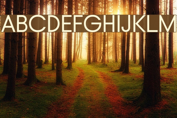 Typo Gotika Small Caps Demo Font examples