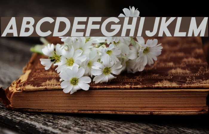 Typo Grotesk Black Italic Font examples