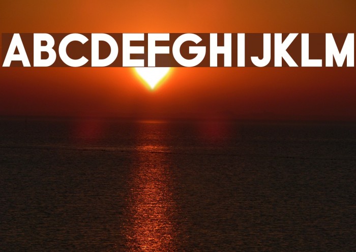 Typo Grotesk Black Font examples