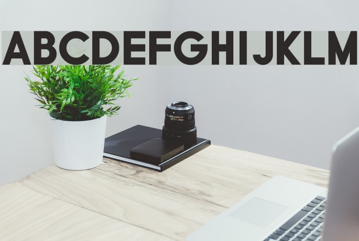 Typo Grotesk Black Font examples