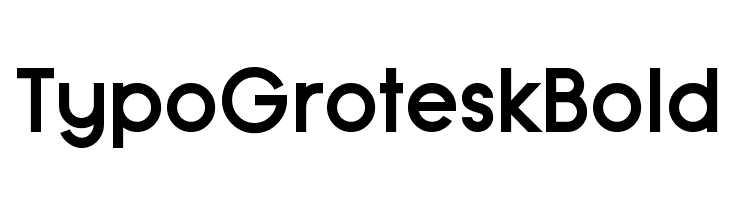Typo Grotesk Bold Font