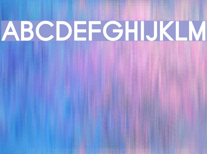 Typo Grotesk Bold Font examples