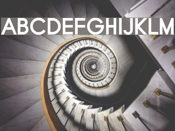 Typo Grotesk Bold Font examples