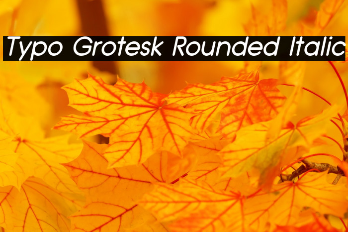Typo Grotesk Rounded Italic Font examples