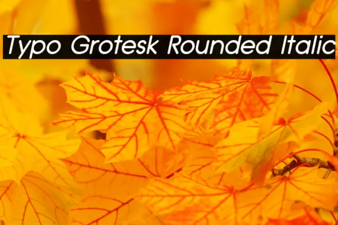 Typo Grotesk Rounded Italic Example 2