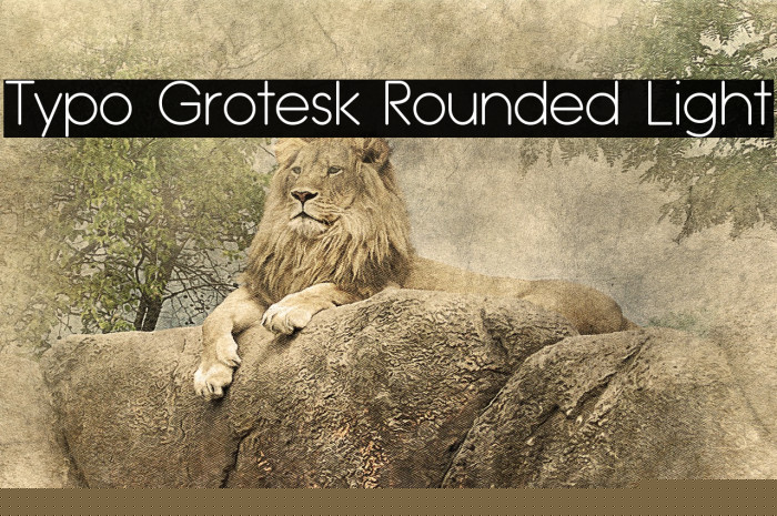 Typo Grotesk Rounded Light Font examples