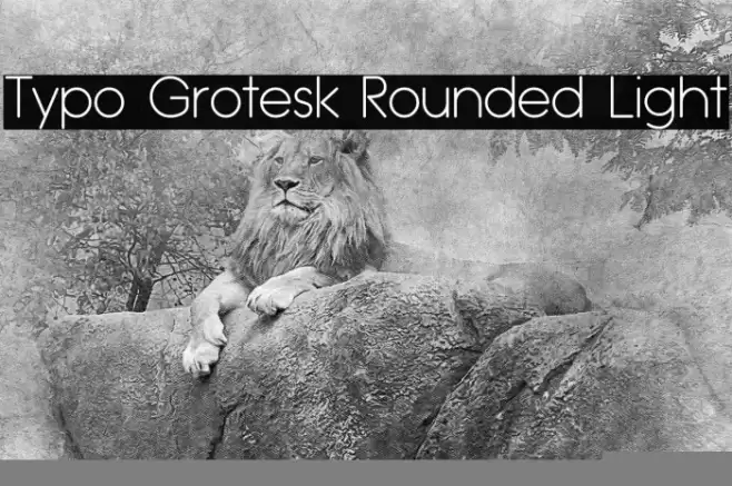 Typo Grotesk Rounded Light Font examples