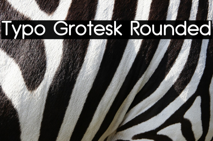 Typo Grotesk Rounded Font examples