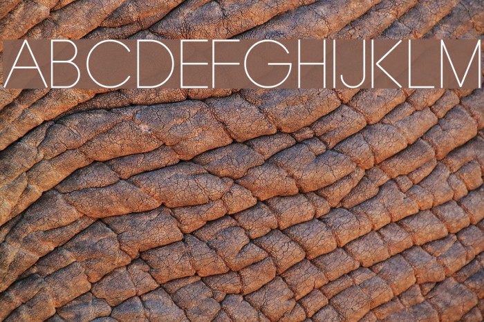 Typo Grotesk Thin Font examples