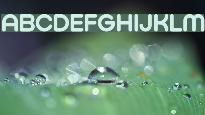 Typo Hoop Demo Bold Font examples