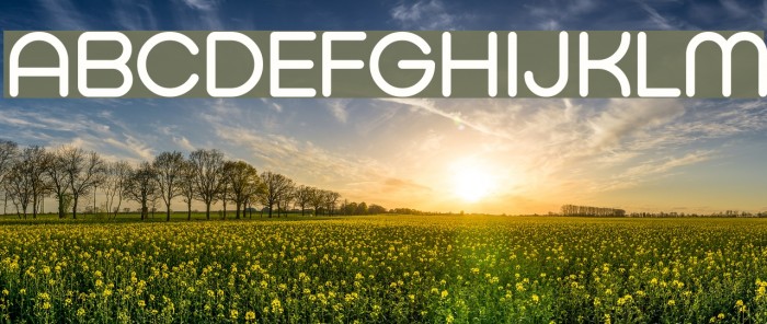 Typo Hoop Demo Example 2