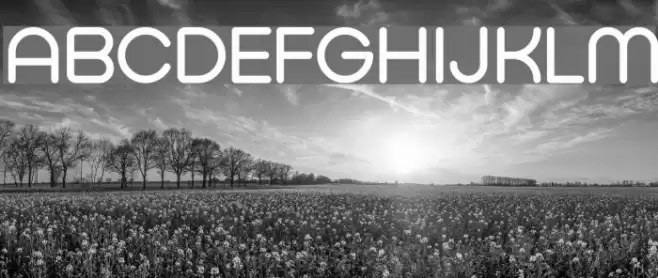 Typo Hoop Demo Font examples