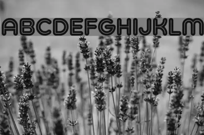 Typo Hoop Inline Demo Font examples