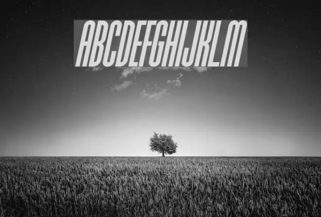 Typo-Longest Demo Bold Italic Font examples