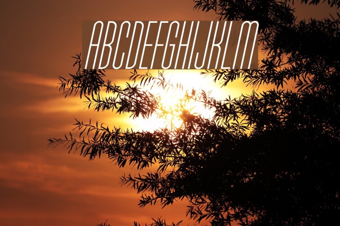 Typo-Longest Light Demo Italic Font examples