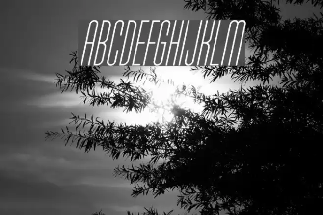 Typo-Longest Light Demo Italic Font examples
