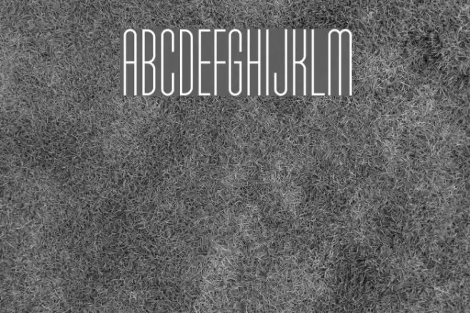 Typo-Longest Light Demo Font examples