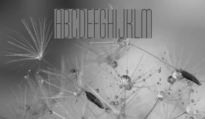 Typo-Longest Thin Demo Font examples