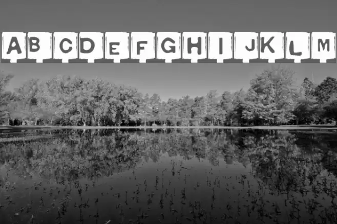 Typo Negative Schriftart examples