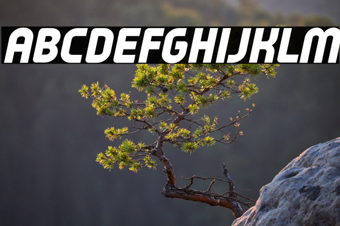 Typo Oval Black Demo Italic Example 3