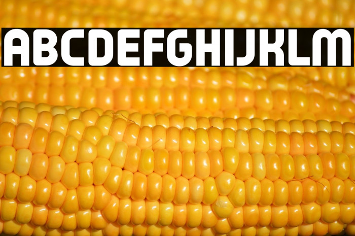 Typo Oval Black Demo Example 1