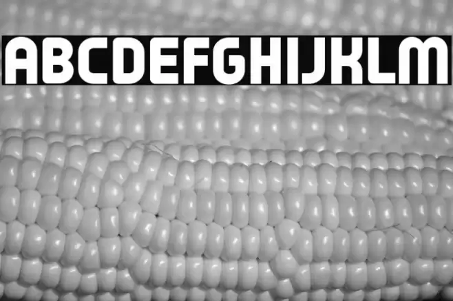 Typo Oval Black Demo Font examples