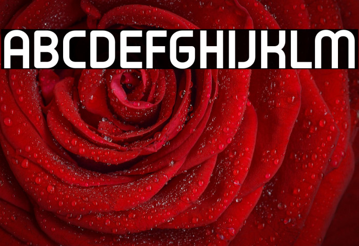 Typo Oval Demo Bold Example 2