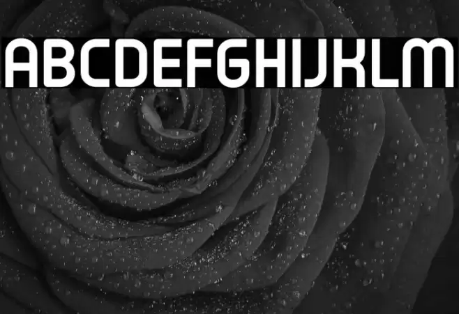 Typo Oval Demo Bold Font examples