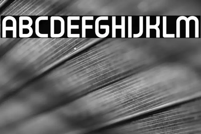 Typo Oval Demo Bold Font examples