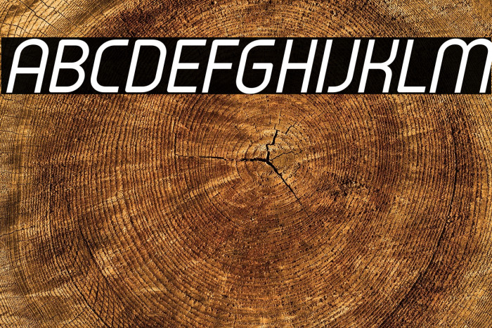 Typo Oval Demo Italic Example 1