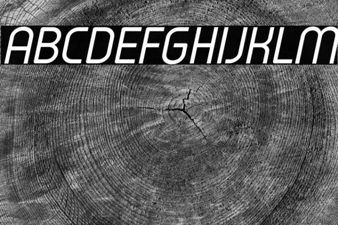 Typo Oval Demo Italic Font examples