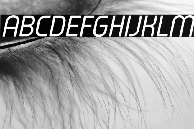 Typo Oval Demo Italic Font examples