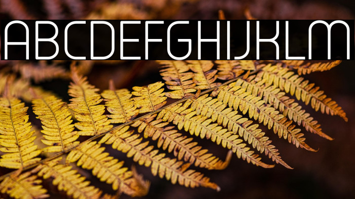 Typo Oval Light Demo Example 1