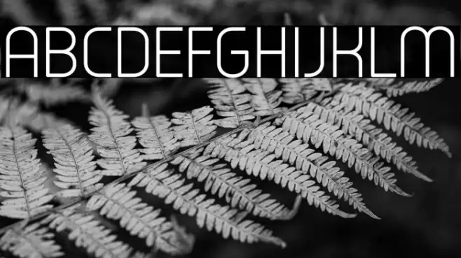 Typo Oval Light Demo Font examples