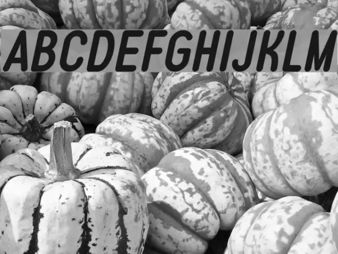 Typo Quik Demo Bold Italic Font examples