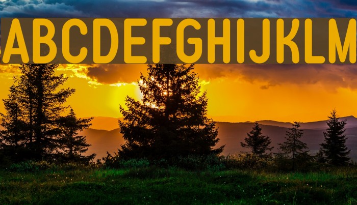 Typo Quik Demo Bold Font examples