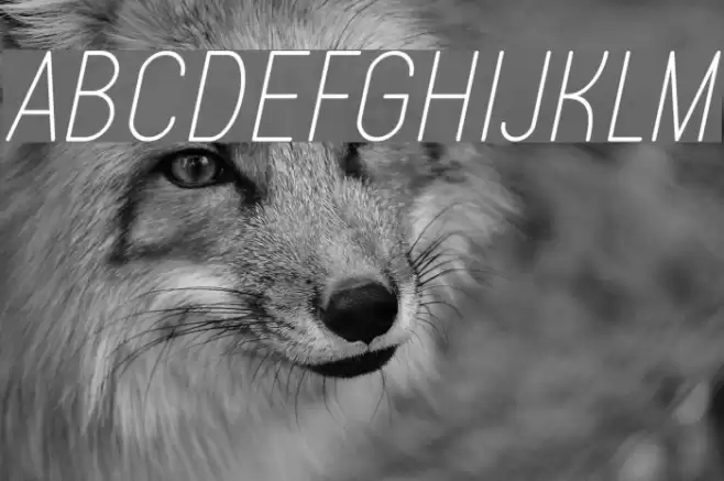 Typo Quik Thin Demo Italic Font examples