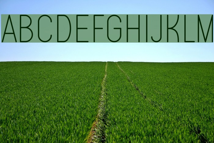Typo Quik Thin Demo Font examples