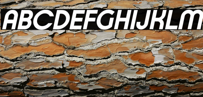 Typo Ring Demo Bold Italic Example 3