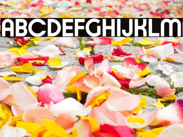 Typo Ring Demo Bold Example 2