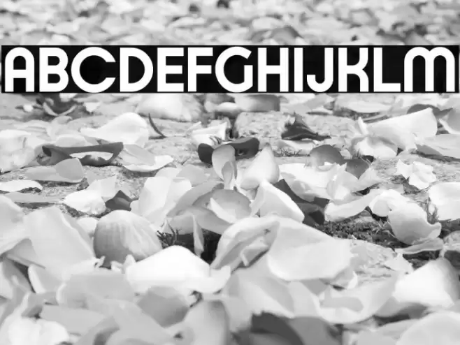 Typo Ring Demo Bold Font examples