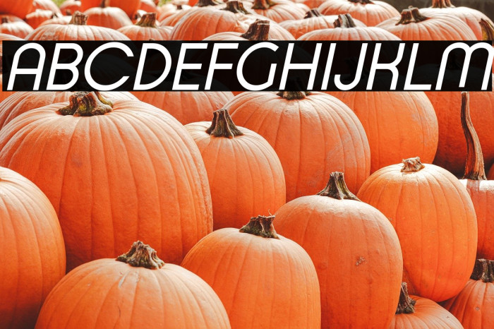 Typo Ring Demo Italic Example 2